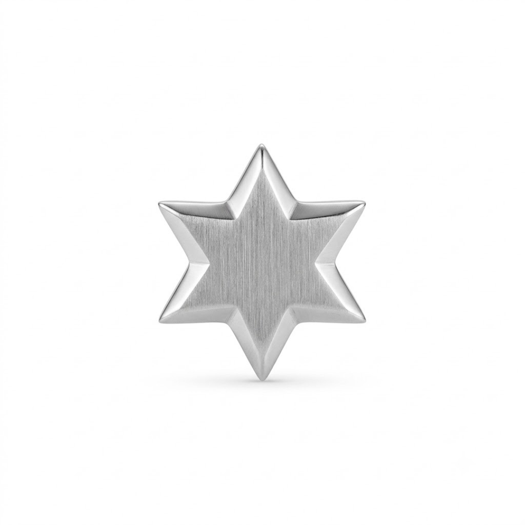 Premium Stainless Steel Star Stud Earring