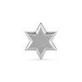 Premium Stainless Steel Star Stud Earring
