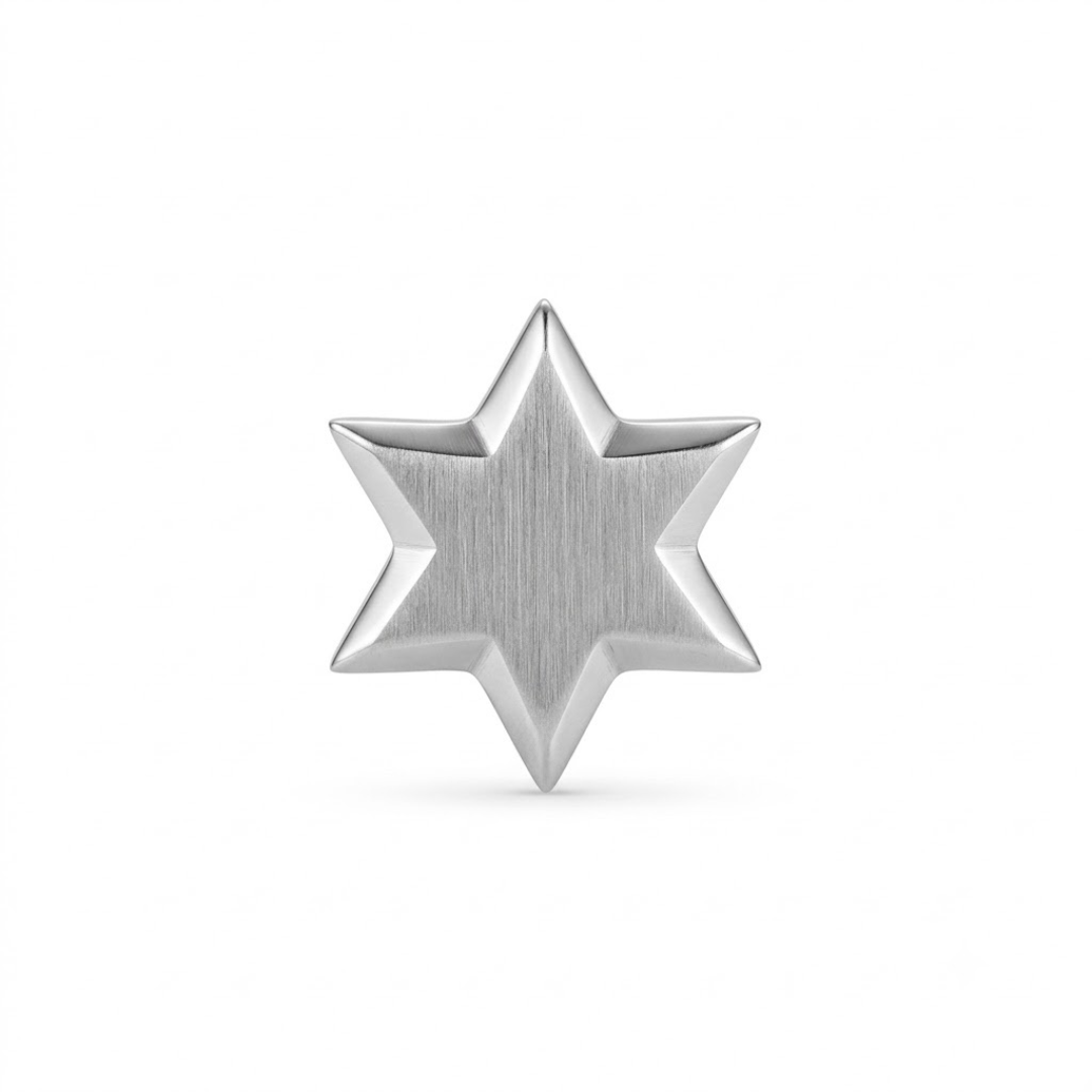 Premium Stainless Steel Star Stud Earring
