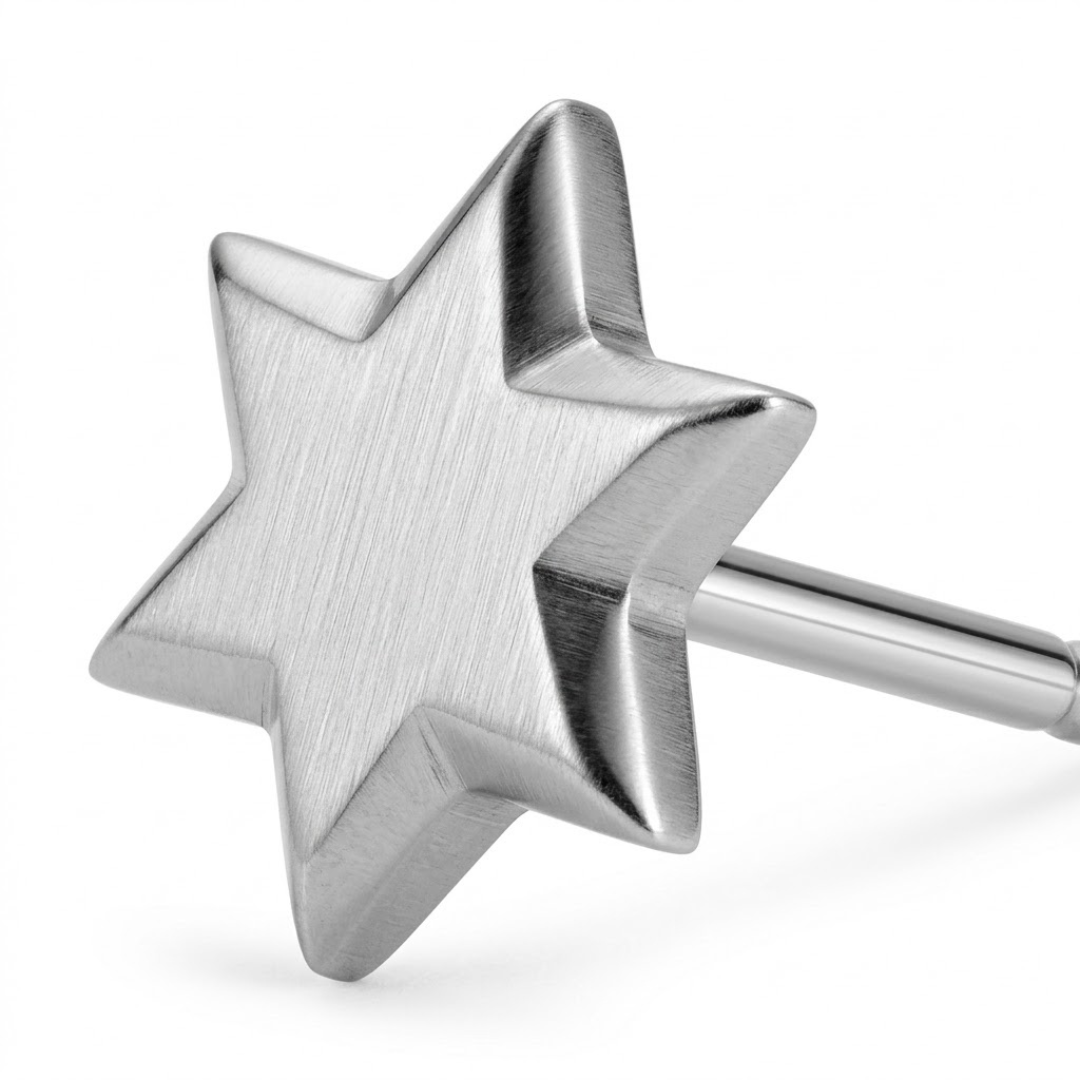 Premium Stainless Steel Star Stud Earring
